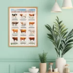 Affiche Vaches française