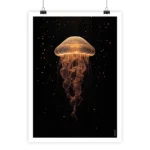 Affiche méduse lumière